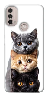 Чохол на Motorola Moto E40 Гарні котики фото 1 з 1