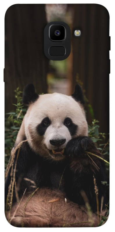 Чохол на Samsung J600F Galaxy J6 (2018) Панда фото 1 з 1