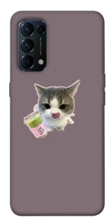 Чохол на Oppo Reno 5 4G cat matcha фото 1 з 1