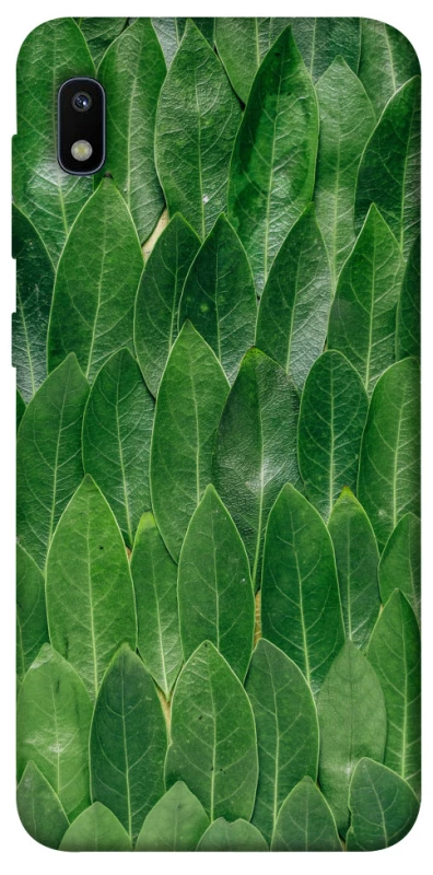 Чохол на Samsung Galaxy A10 (A105F) Листя фото 1 з 1