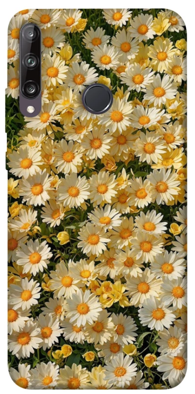 Чохол на Huawei P40 Lite E Camomile фото 1 з 1