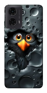 Чохол на Motorola Moto G04 Ну привіт ! фото 1 з 1