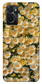 Чохол на Oppo A76 4G Camomile фото 1 з 1