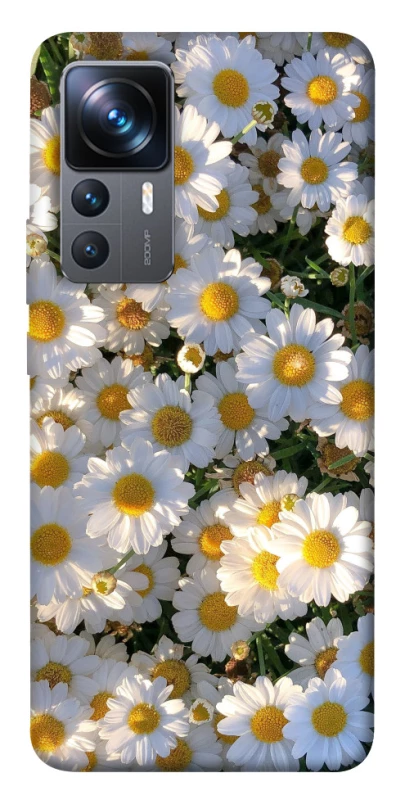 Чохол на Xiaomi 12T / 12T Pro Поле ромашок фото 1 з 1