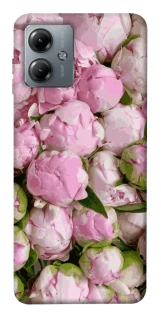 Чохол на Motorola Moto G14 Nature’s Elegance фото 1 з 1