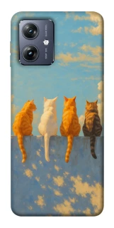 Чохол на Motorola Moto G54 cats on wall фото 1 Чохол на Motorola Moto G54 cats on wall фото 1 з 1