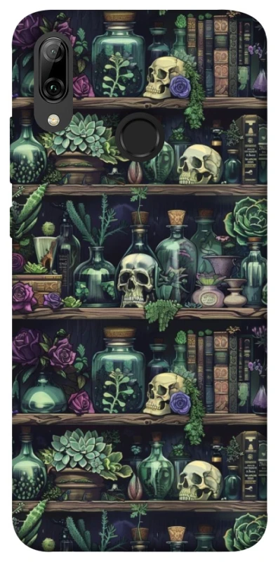 Чохол на Huawei P Smart (2019) Bookshelf ver.1 фото 1 з 1