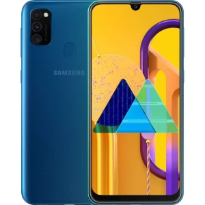 Samsung Galaxy M30s / M21