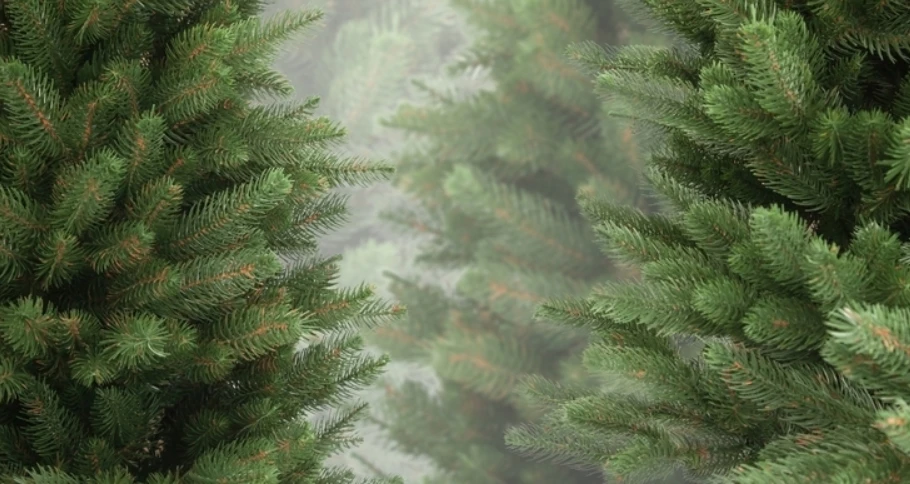 Огонь, свет и спасение: мистические истории рождественской ночи на Frontalka фото 5 Огонь, свет и спасение: мистические истории рождественской ночи фото 5