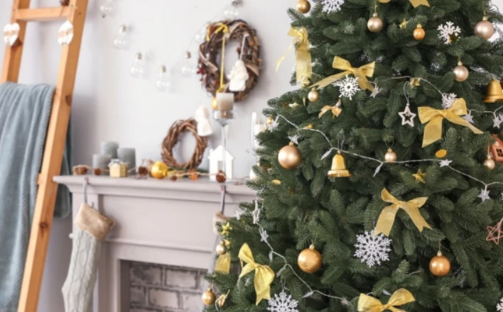 Рождественские загадки: вещи, которые делают этот праздник магическим фото 7