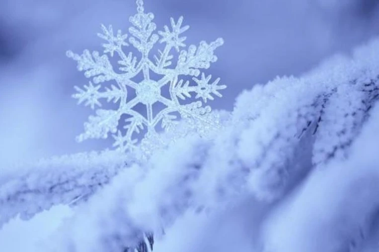 Рождественские загадки: вещи, которые делают этот праздник магическим фото 9