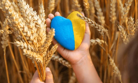 Знижка до -32% до Дня Незалежності України