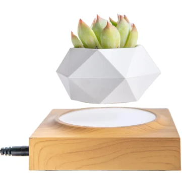 Футуризм для дому: магнітний вазон, що левітує, від Frontalka