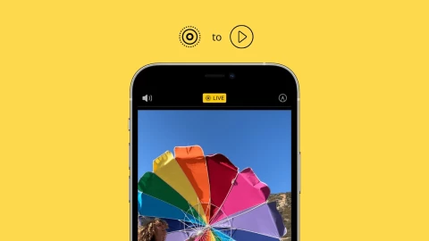 Лайфхак: как сделать видео из фотографий на iPhone