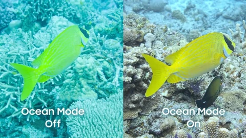 Samsung снова удивила: Galaxy S25 Ultra получает режим для съемки под водой