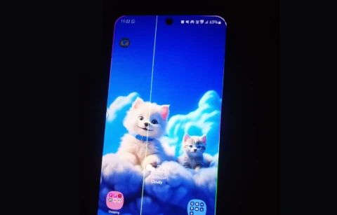 Що означає зелена вертикальна лінія на дисплеї?