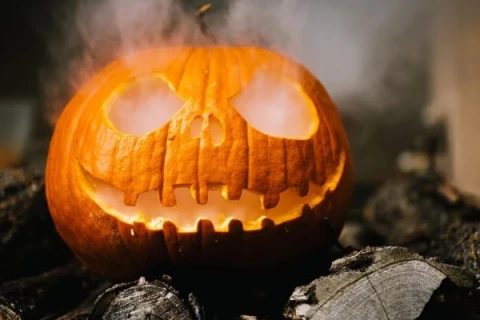 Скоро Хэллоуин. Пугай ужасно крутым принтом, а не старым чехлом!