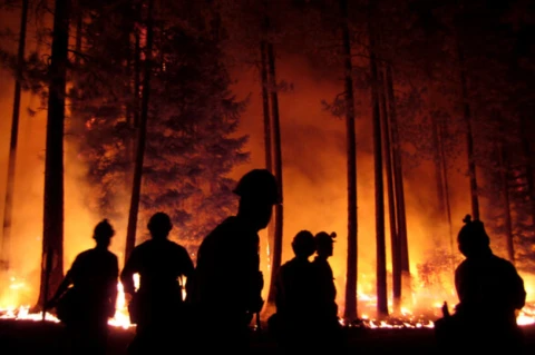 Сучасний iPhone став героєм – смартфон сам викликав допомогу після аварії